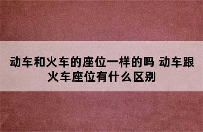 动车和火车的座位一样的吗 动车跟火车座位有什么区别